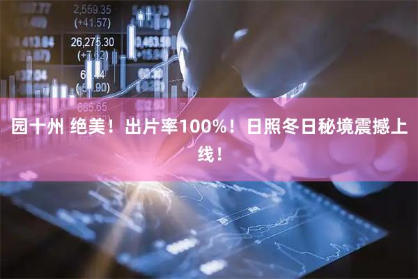 园十州 绝美！出片率100%！日照冬日秘境震撼上线！