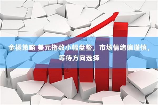 金橘策略 美元指数小幅盘整，市场情绪偏谨慎，等待方向选择